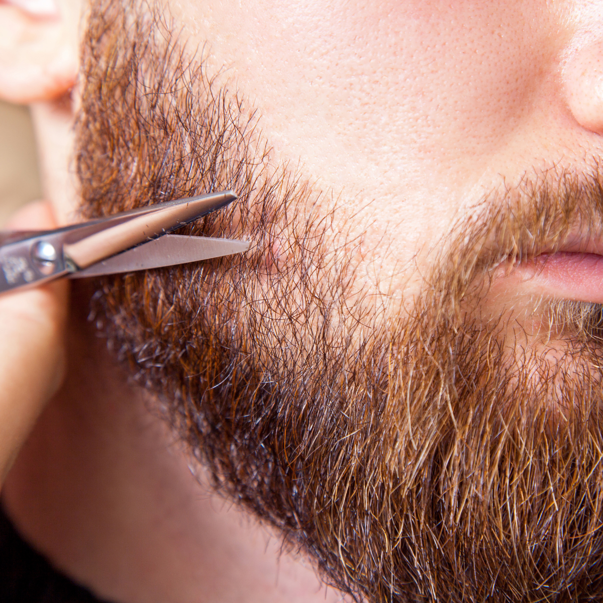 The Ultimate Beard Care Kit